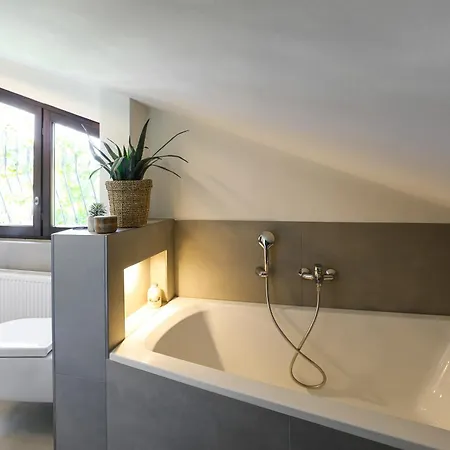 Waldhaus * Броденбах